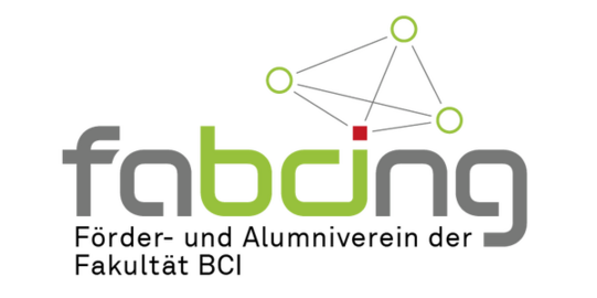 fabcing Logo Schriftzug in grau, Buchstaben b, c und i in grün abgesetzt