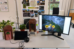 Ein Informationsstand zur Forschung an Stadtvögeln zeigt ein kleines Modell eines Nistkastens und eine große Monitoranzeige. Auf dem Monitor ist ein Live-Bild eines Vogelnests mit hungrigen Küken zu sehen. Neben dem Nistkasten stehen zwei grüne Zimmerpflanzen. Ein Schild auf dem Tisch lädt Besucher ein, in den Nistkasten hineinzuschauen. Im Hintergrund hängen Poster mit Bildern und Informationen zur Forschung an Stadtvögeln, sowie eine Karte mit urbanen Lebensräumen.