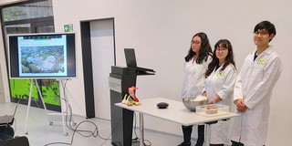 Kimchi Zubereitung vor dem Webcam in der BCI galerie, die 3 Studierenden stehen hinter einem Tisch. Auf dem Tisch liegen die benötigten Zutaten. 