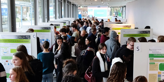 Blick in den Raum der Ausstellung, rechts und links sieht man die angefertigten Poster.