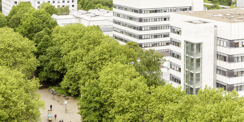 Das Gebäude der Fakultät Bio- und Chemieingenieurwesen ist von grünen Bäumen umgeben.