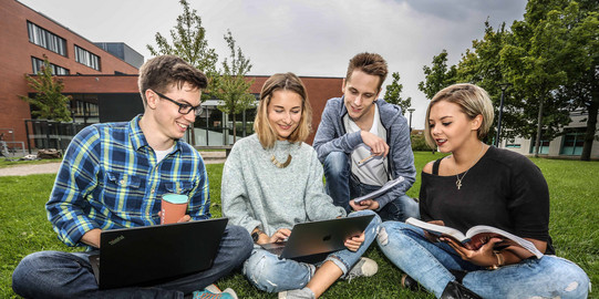 Eine Gruppe studierender lernt auf der Wiese.